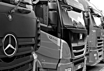 Haluage Fleet Services small